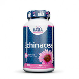 Echinacea 250 mg 60cps