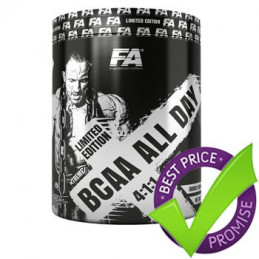 BCAA All Day 4:1:1 450g