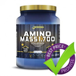 Amino Mass 1700 450cps