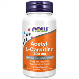 Acetyl L-Carnitina 500mg 50cps